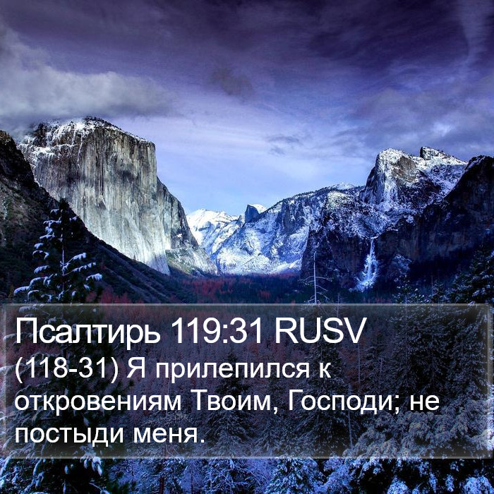 Псалтирь 119:31 RUSV Bible Study