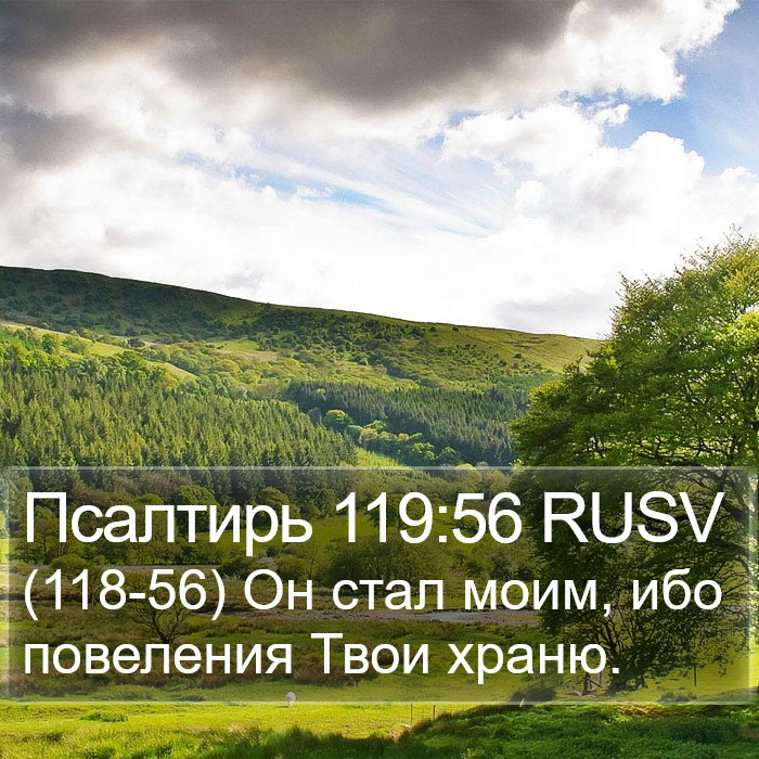 Псалтирь 119:56 RUSV Bible Study