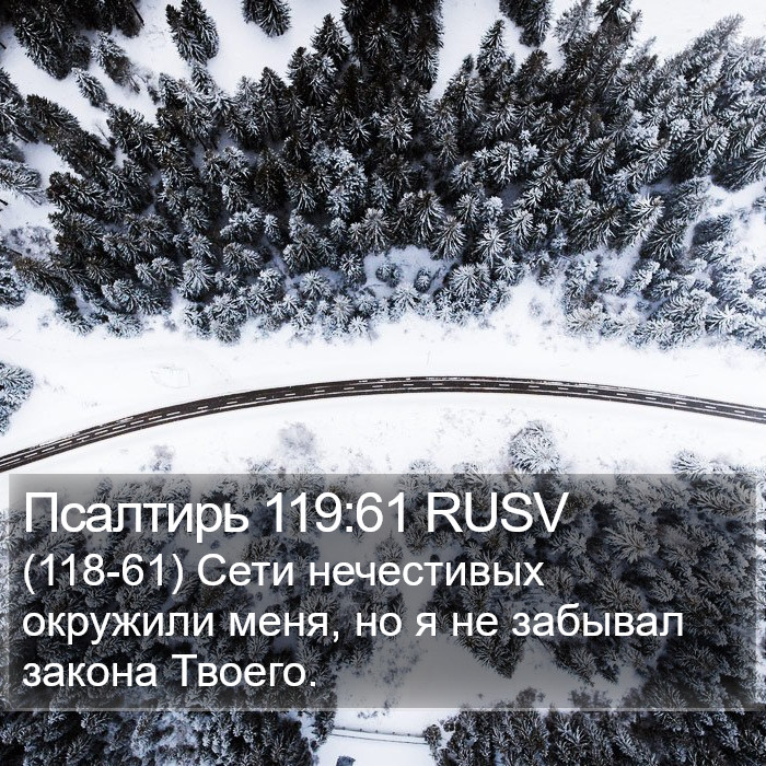 Псалтирь 119:61 RUSV Bible Study