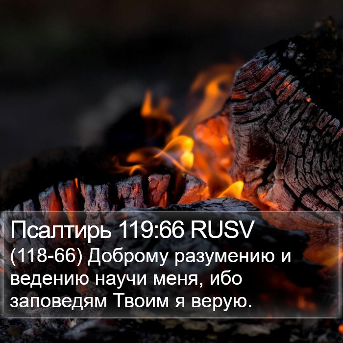 Псалтирь 119:66 RUSV Bible Study