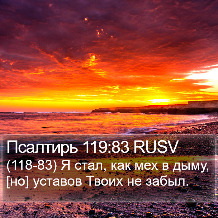 Псалтирь 119:83 RUSV Bible Study