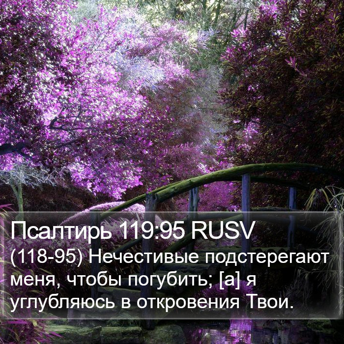 Псалтирь 119:95 RUSV Bible Study