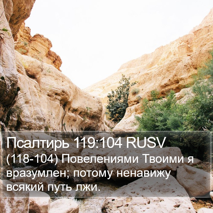 Псалтирь 119:104 RUSV Bible Study