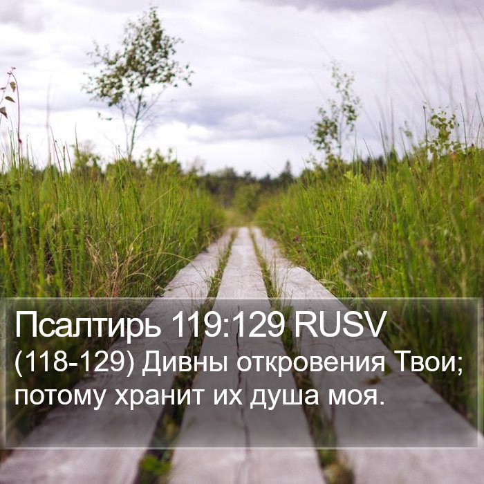 Псалтирь 119:129 RUSV Bible Study