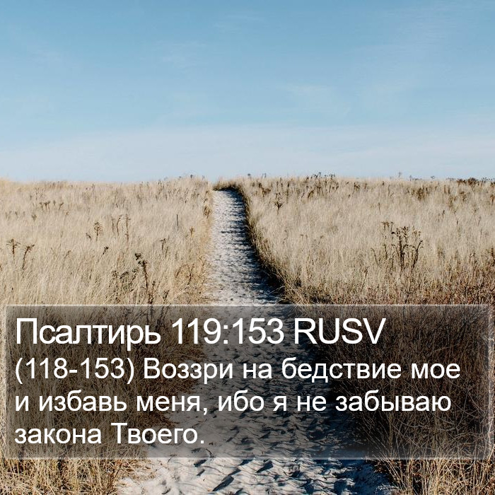 Псалтирь 119:153 RUSV Bible Study