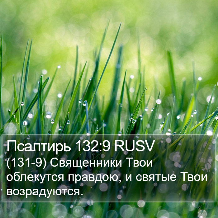 Псалтирь 132:9 RUSV Bible Study