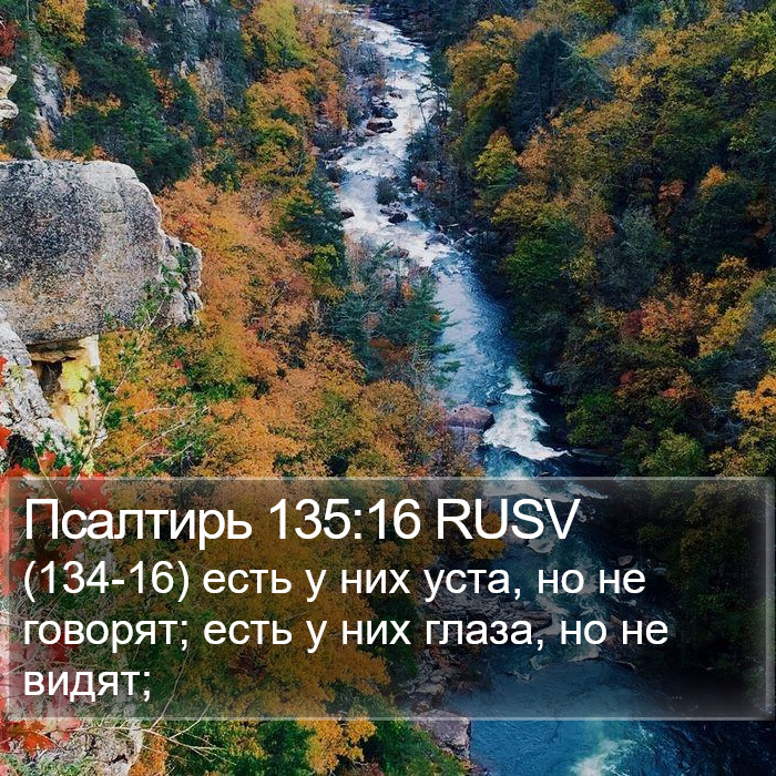 Псалтирь 135:16 RUSV Bible Study