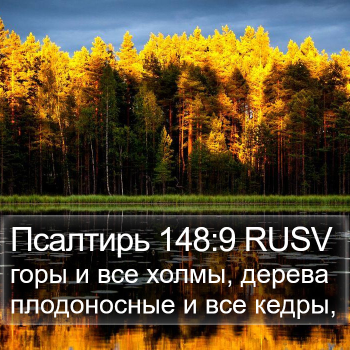 Псалтирь 148:9 RUSV Bible Study