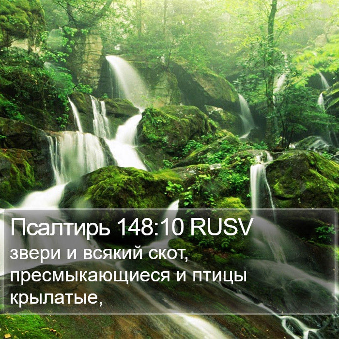 Псалтирь 148:10 RUSV Bible Study