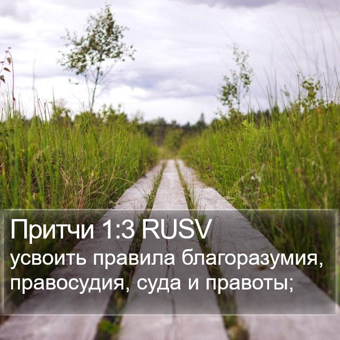 Притчи 1:3 RUSV Bible Study