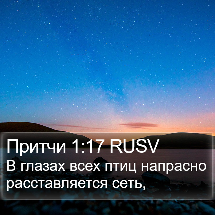 Притчи 1:17 RUSV Bible Study