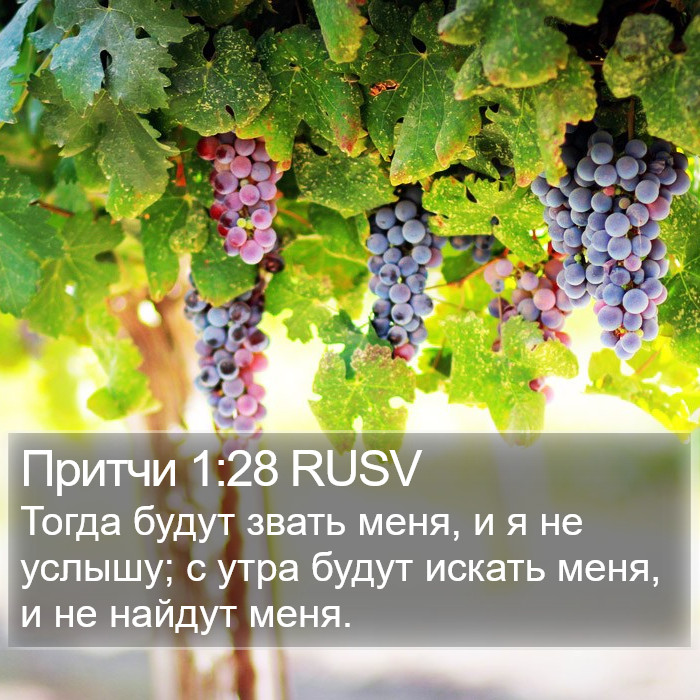 Притчи 1:28 RUSV Bible Study