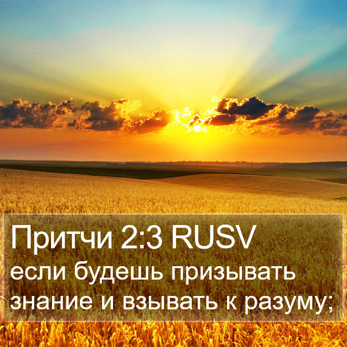 Притчи 2:3 RUSV Bible Study