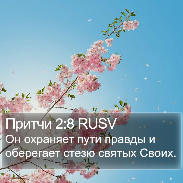 Притчи 2:8 RUSV Bible Study