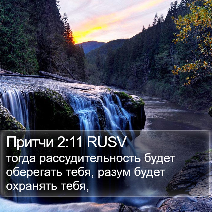 Притчи 2:11 RUSV Bible Study