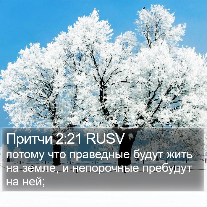 Притчи 2:21 RUSV Bible Study