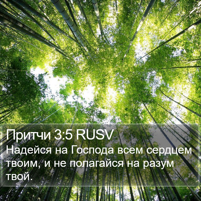 Притчи 3:5 RUSV Bible Study