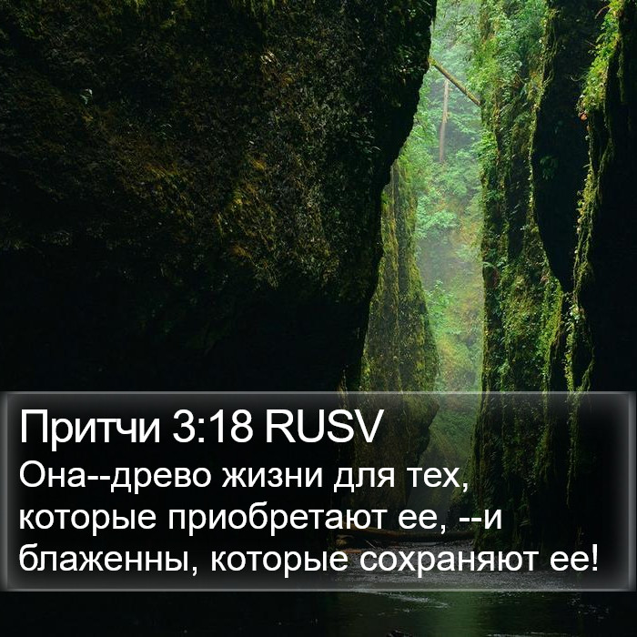 Притчи 3:18 RUSV Bible Study