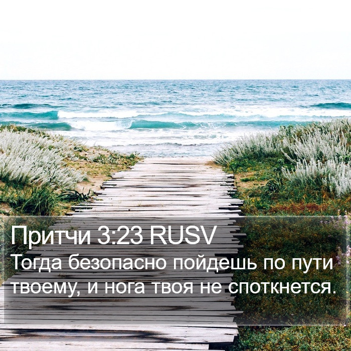 Притчи 3:23 RUSV Bible Study