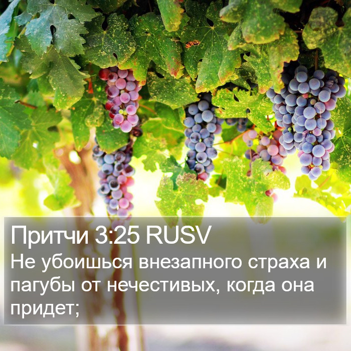 Притчи 3:25 RUSV Bible Study