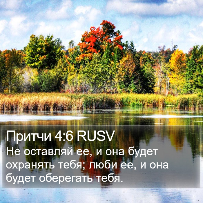 Притчи 4:6 RUSV Bible Study