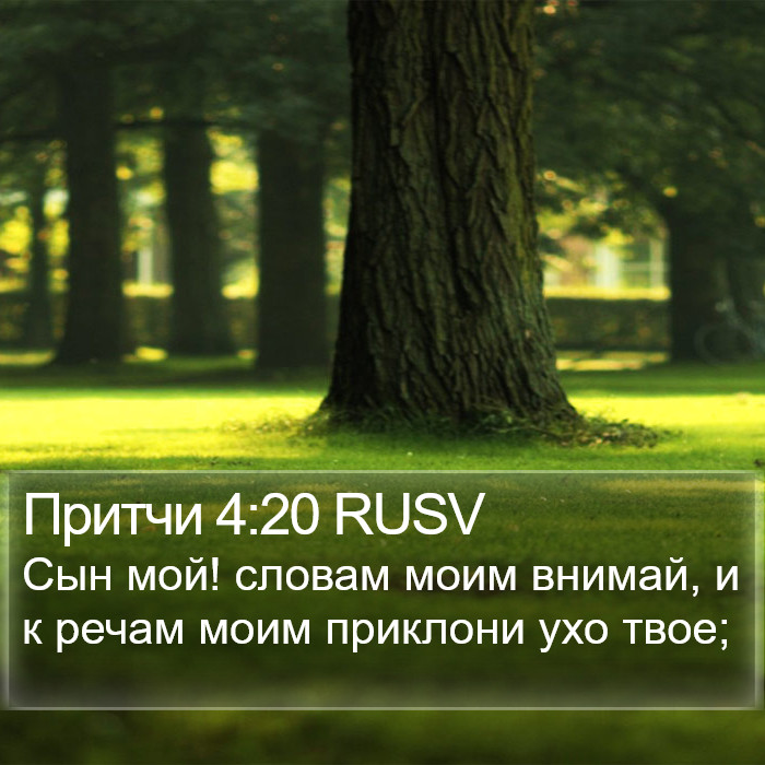 Притчи 4:20 RUSV Bible Study