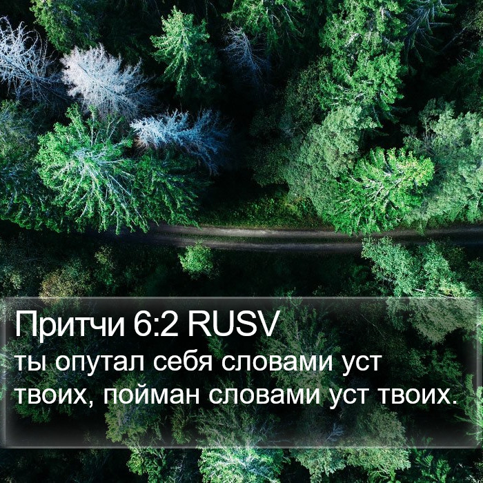 Притчи 6:2 RUSV Bible Study