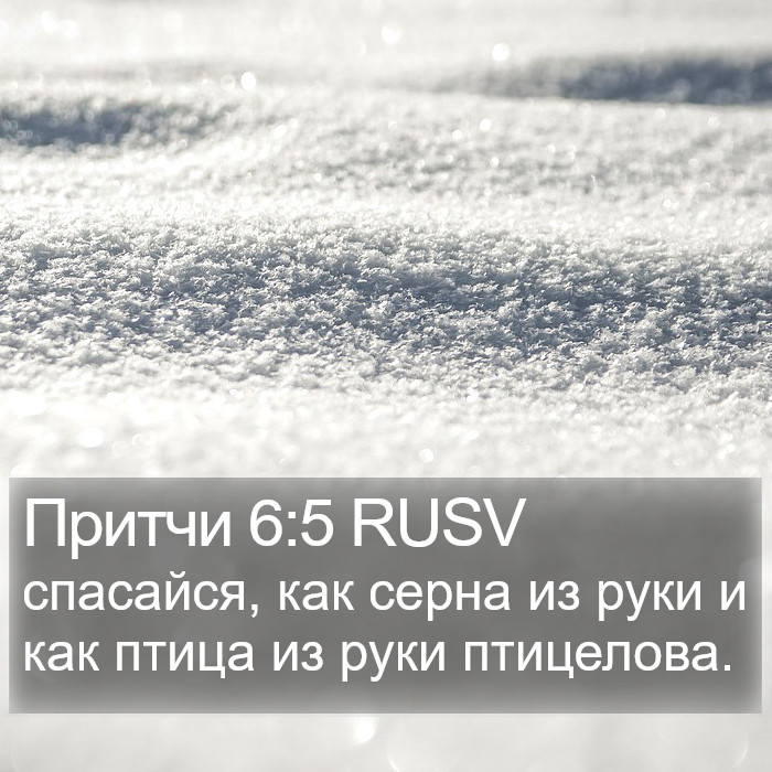Притчи 6:5 RUSV Bible Study