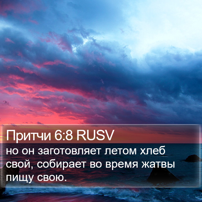 Притчи 6:8 RUSV Bible Study