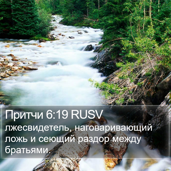 Притчи 6:19 RUSV Bible Study