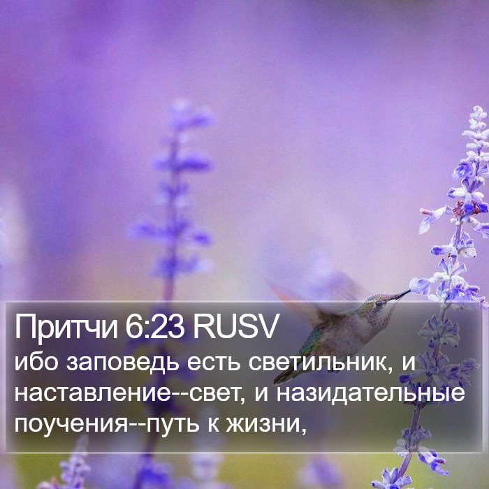 Притчи 6:23 RUSV Bible Study