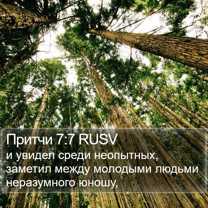 Притчи 7:7 RUSV Bible Study