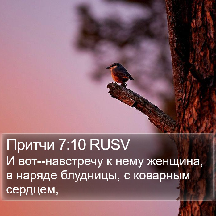 Притчи 7:10 RUSV Bible Study