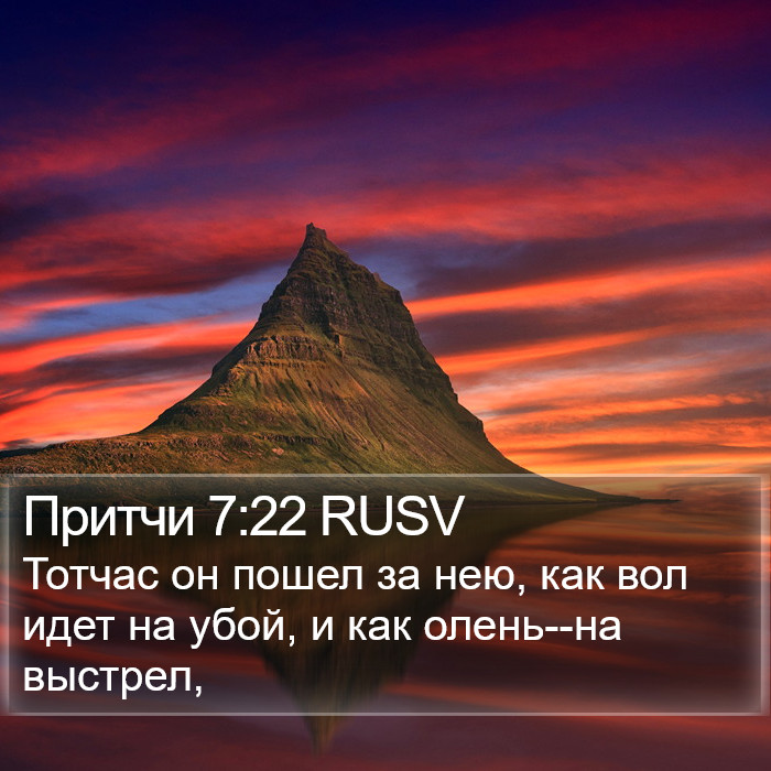 Притчи 7:22 RUSV Bible Study