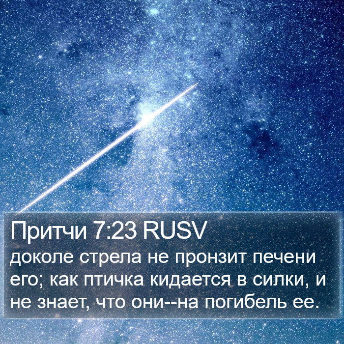 Притчи 7:23 RUSV Bible Study