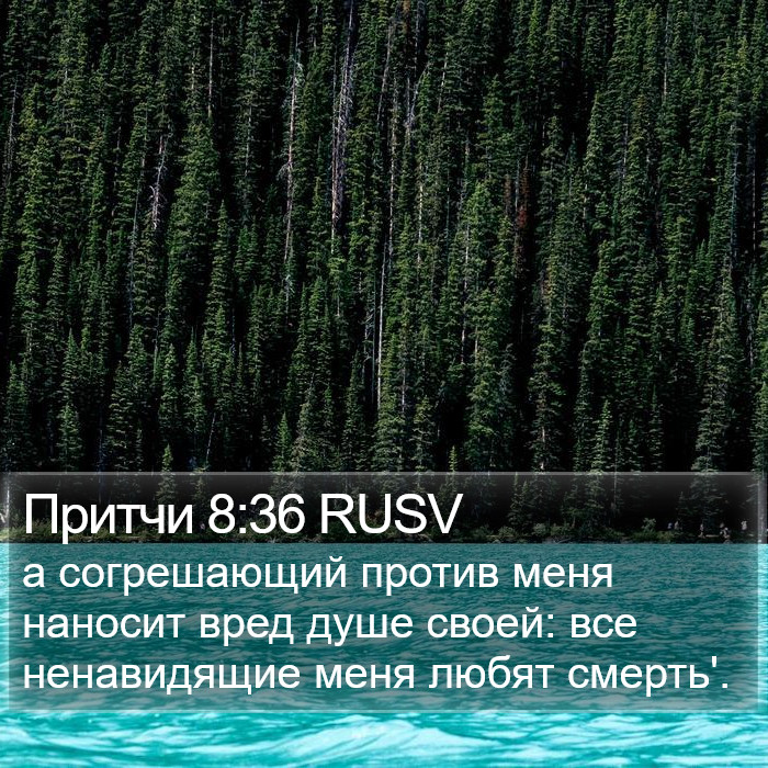 Притчи 8:36 RUSV Bible Study