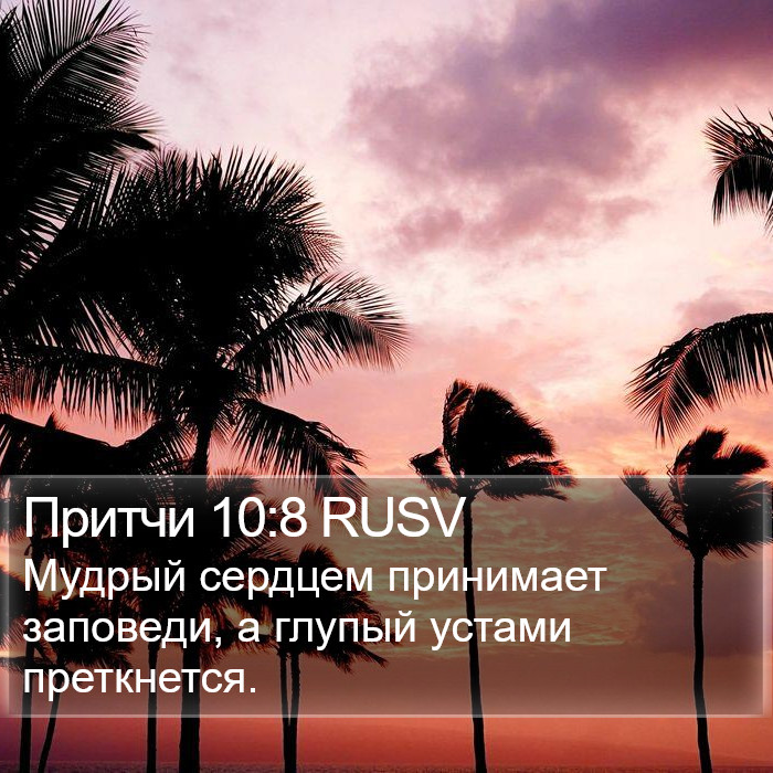 Притчи 10:8 RUSV Bible Study