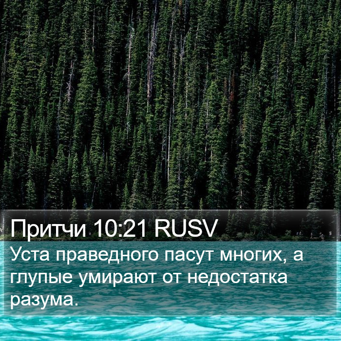 Притчи 10:21 RUSV Bible Study