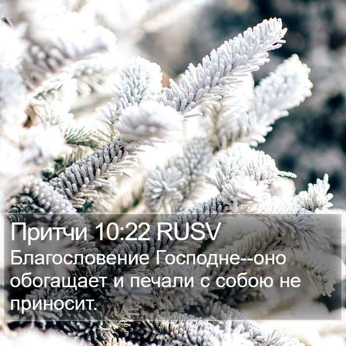 Притчи 10:22 RUSV Bible Study
