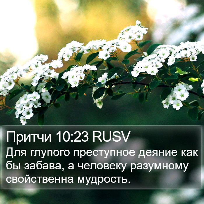 Притчи 10:23 RUSV Bible Study