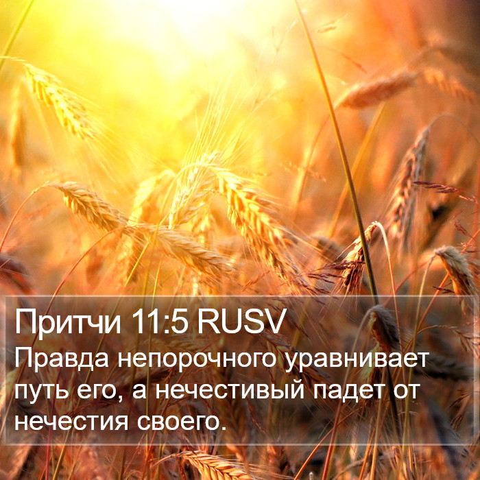 Притчи 11:5 RUSV Bible Study