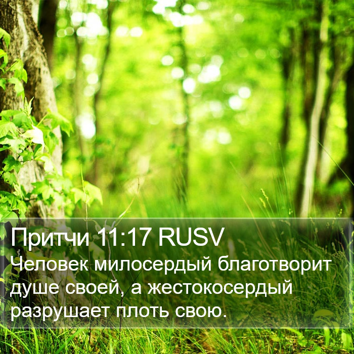 Притчи 11:17 RUSV Bible Study