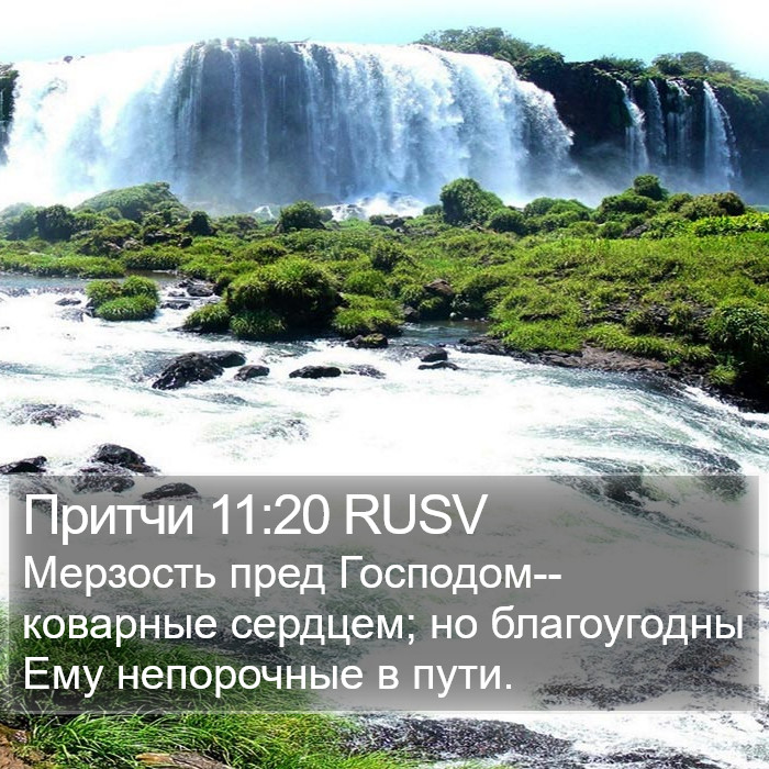 Притчи 11:20 RUSV Bible Study