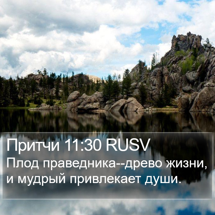 Притчи 11:30 RUSV Bible Study