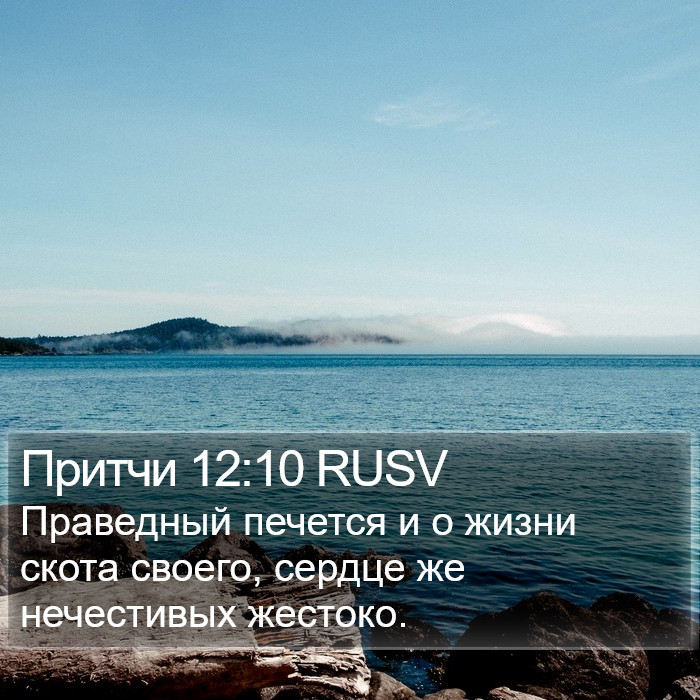 Притчи 12:10 RUSV Bible Study