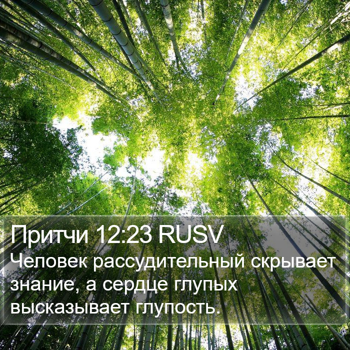 Притчи 12:23 RUSV Bible Study