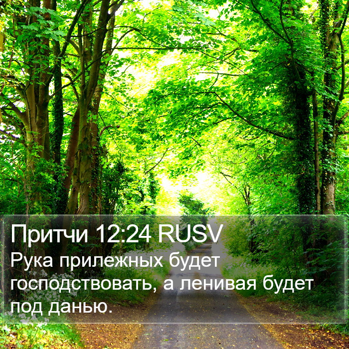 Притчи 12:24 RUSV Bible Study