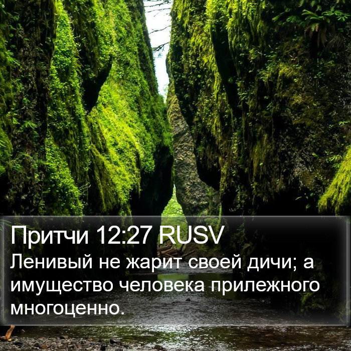 Притчи 12:27 RUSV Bible Study