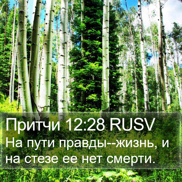 Притчи 12:28 RUSV Bible Study