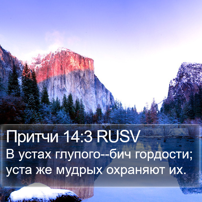 Притчи 14:3 RUSV Bible Study